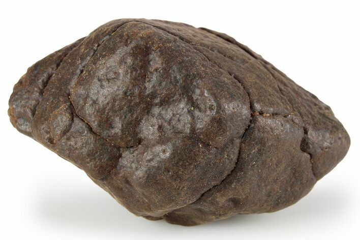 Chondrite Meteorite ( g) - Unclassified NWA #256606